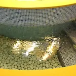 Terme Alexander 4*
