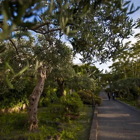 Terme Alexander Ξενοδοχείο