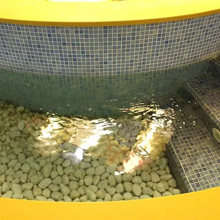 亚历山大温泉酒店 4*